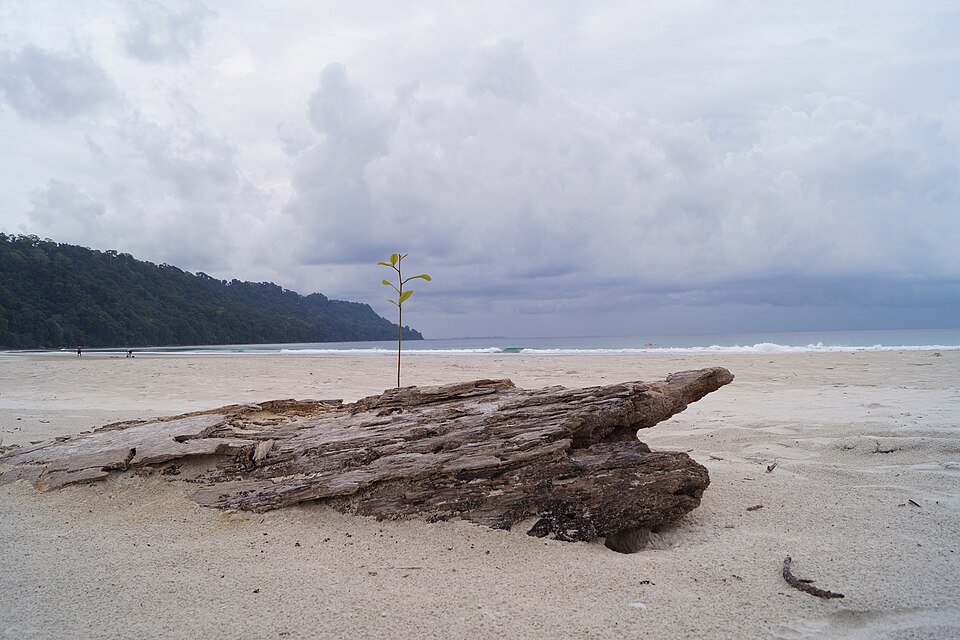 Havelock Island: The Beach Escape Most Travellers Never Find