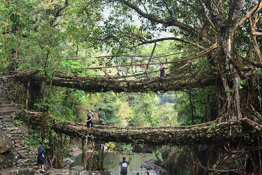 Northeast India — Meghalaya & Assam route image